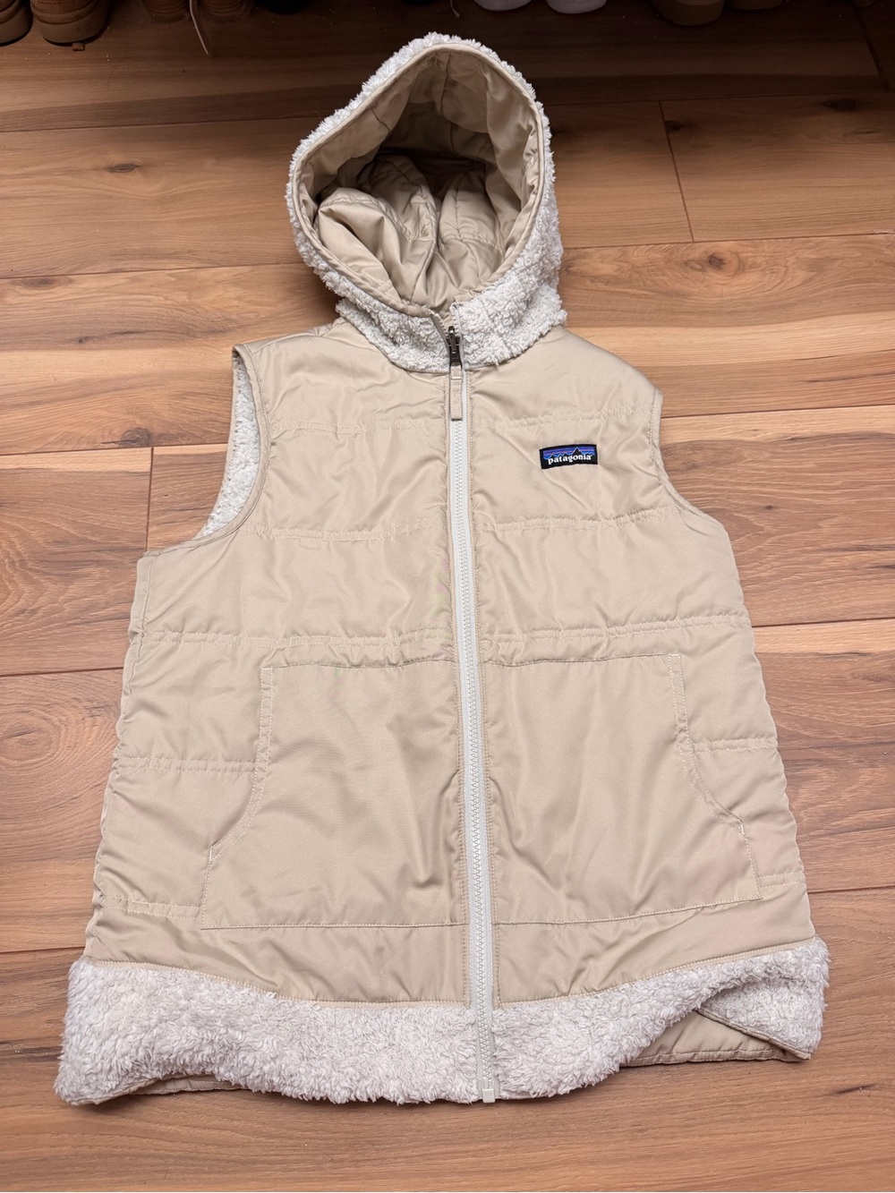 Reversible Patagonia Vest